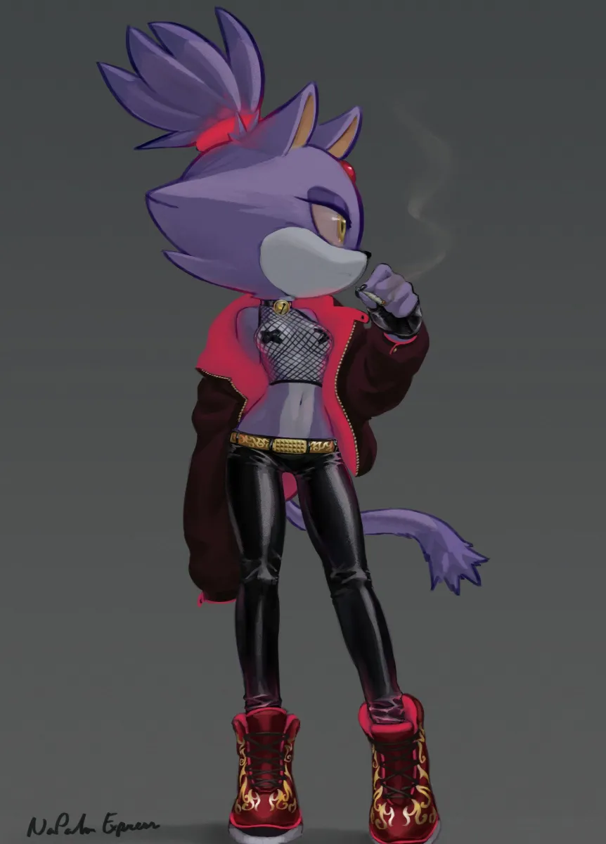 Blaze The Cat by Napalm Express