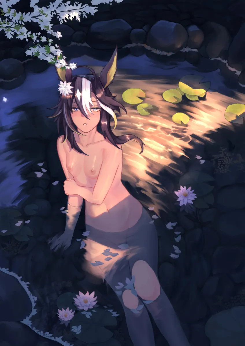 Dream Journey (Umamusume) by Bahhkarh