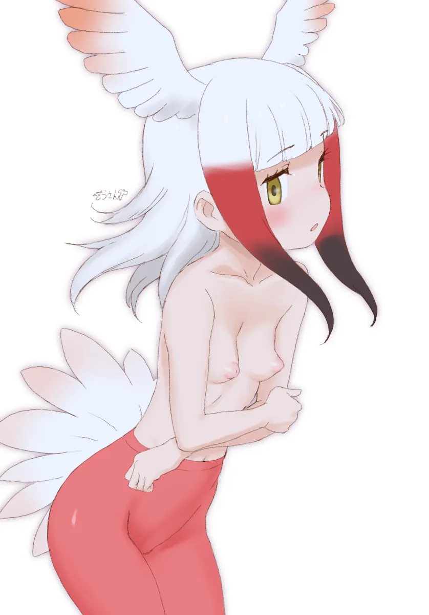 Japanese Crested Ibis (Kemono Friends) by Masuyama Ryou