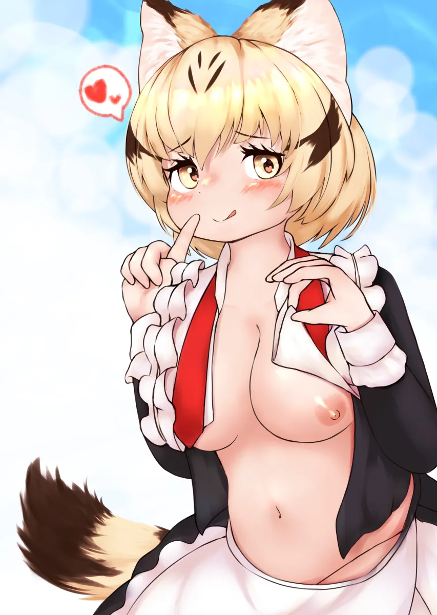 Sand Cat (Kemono Friends) by Takara (Takara0508)