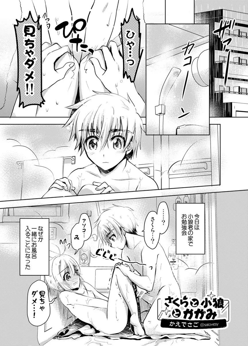 Kinomoto Sakura, Li Syaoran by Salovesy