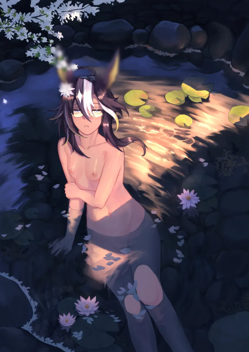 Dream Journey (Umamusume) by Bahhkarh