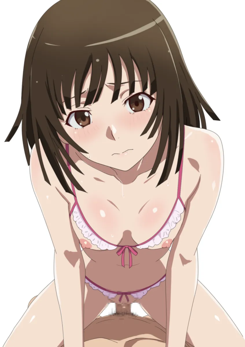 Sengoku Nadeko by Akinoya