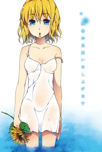 Air (Visual Novel)