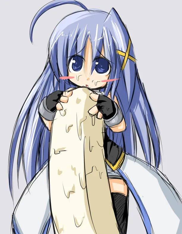 Reinforce Zwei by Asuka Tsubasa