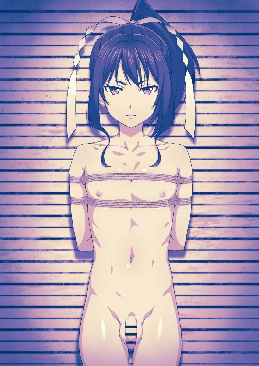 Houjou Tokiyuki (Nige Jouzu No Wakagimi) by Teba Motoko