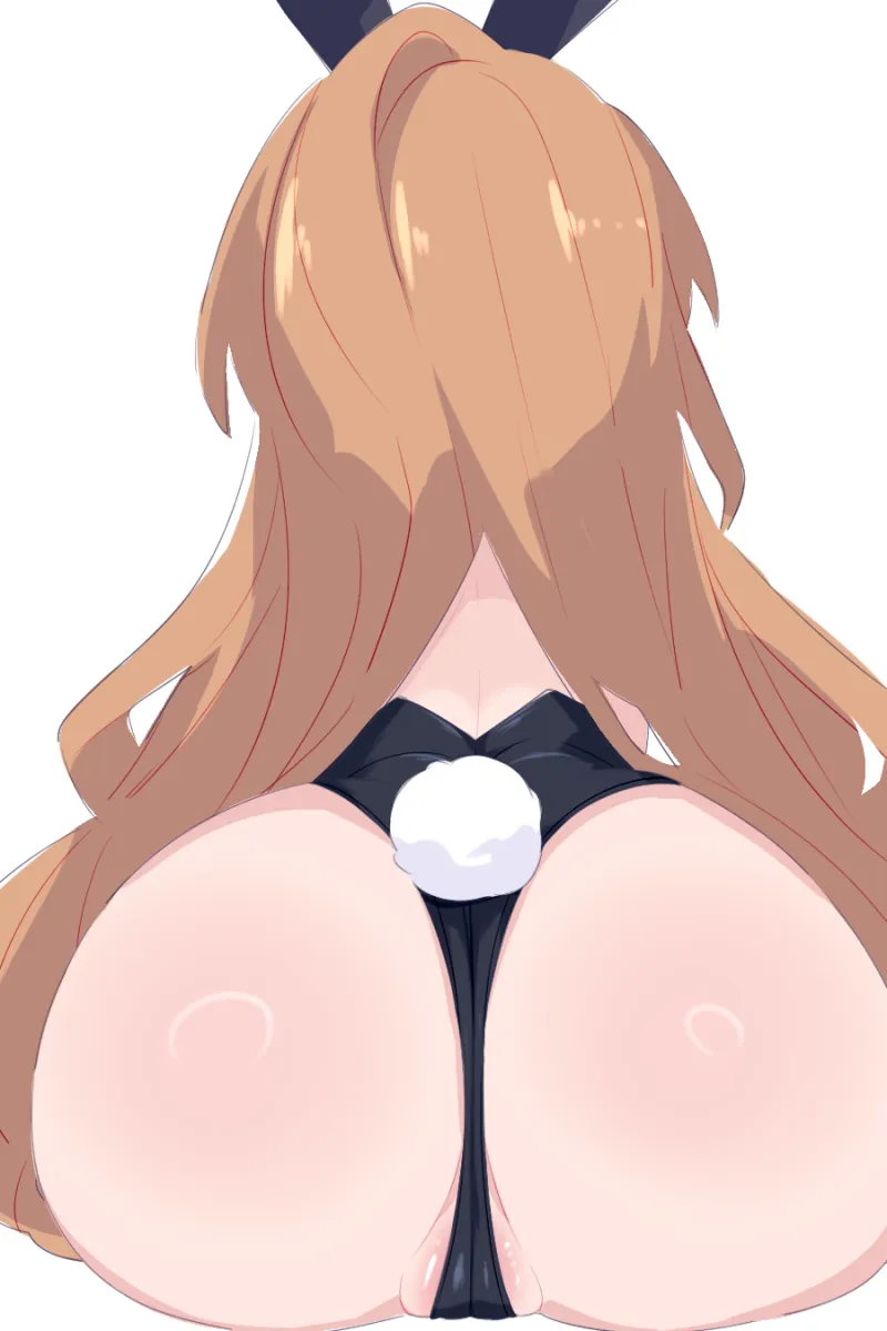 Aisaka Taiga by Kukuchi581