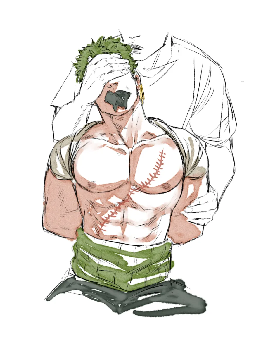 Roronoa Zoro by Smokerichi
