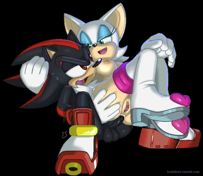 Shadow The Hedgehog, Rouge The Bat by Rockthebull