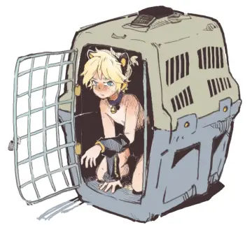 Cage