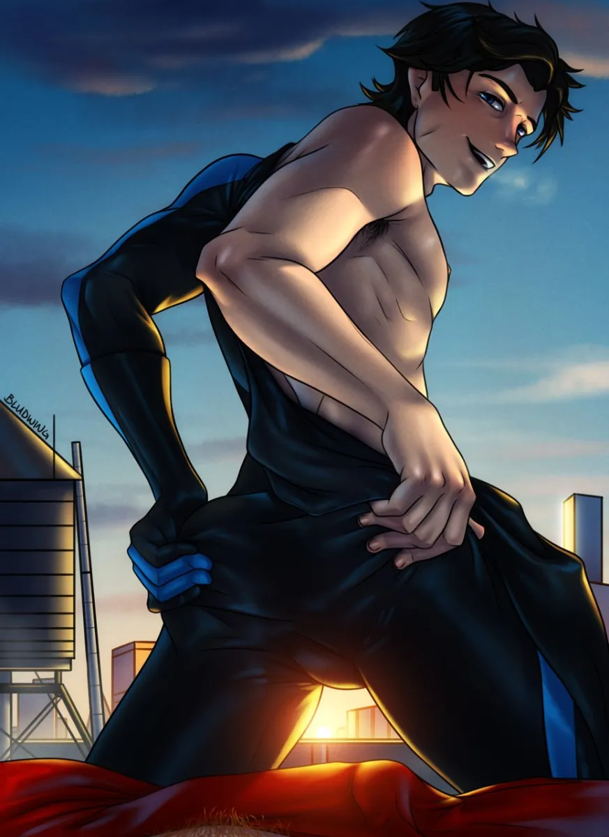 Dick Grayson, Nightwing by Bludwing