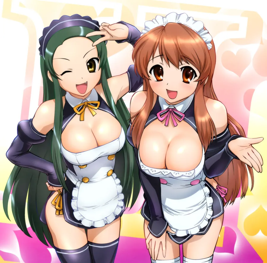 Asahina Mikuru, Tsuruya by Ueyama Michirou