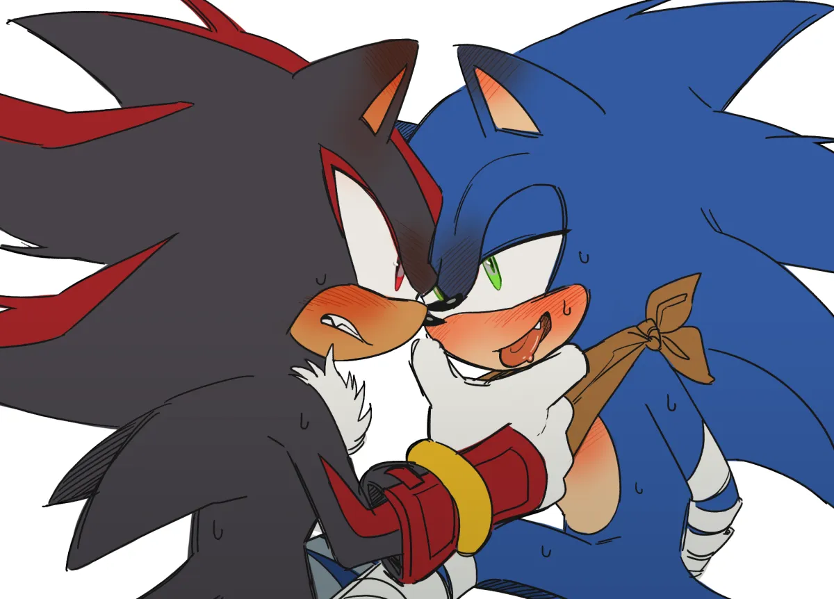 Sonic The Hedgehog, Shadow The Hedgehog by Unneul