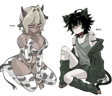 Taller Female Shorter Male