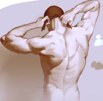 Back Muscles