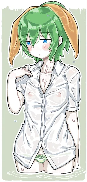 Daiyousei, Diyusi (Cookie) by Man (Man-Room)
