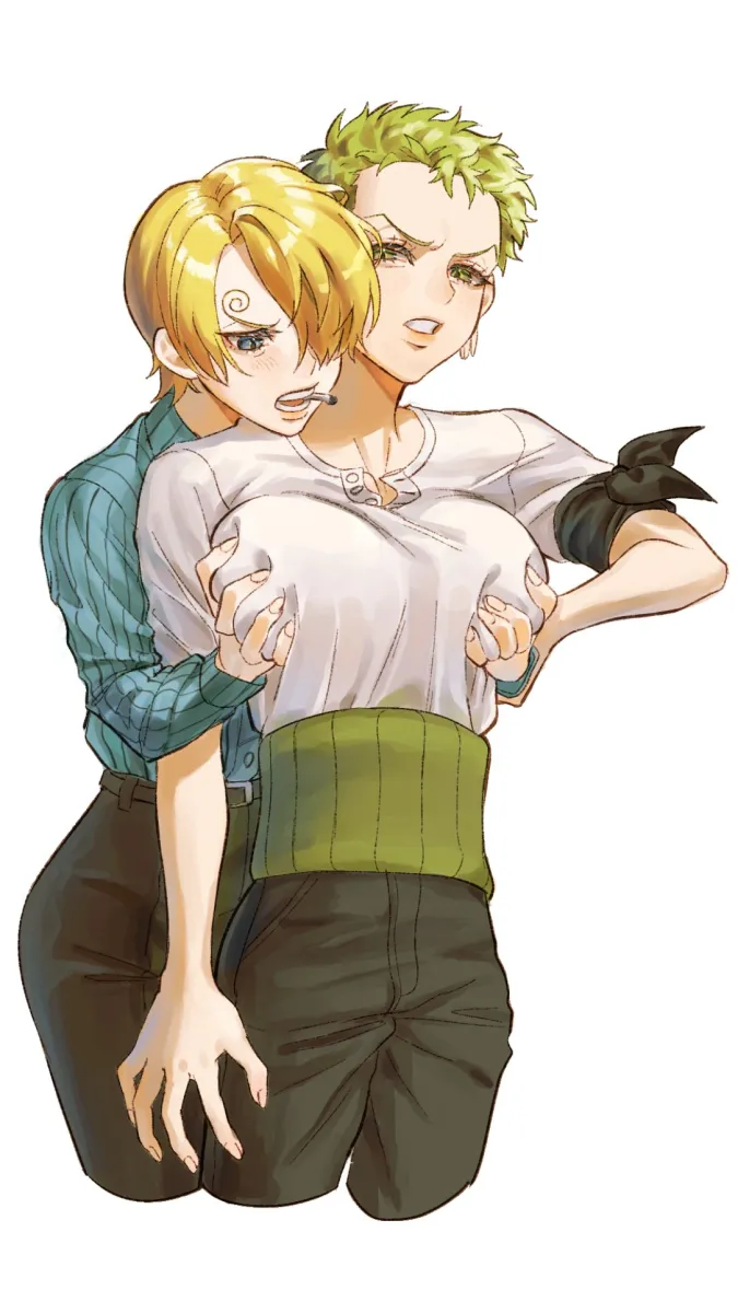 Roronoa Zoro, Sanji (One Piece) by Poipoisky72