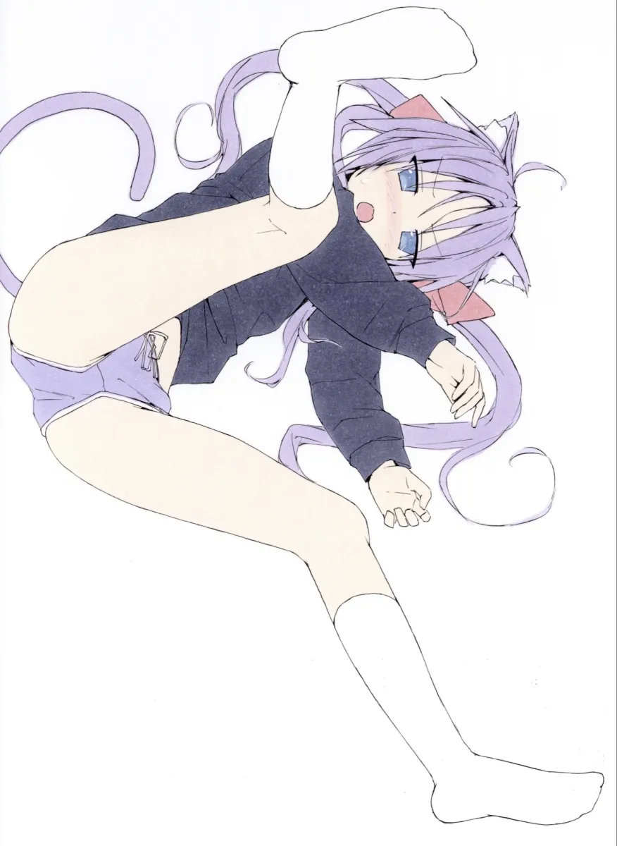 Hiiragi Kagami by Shiki 59