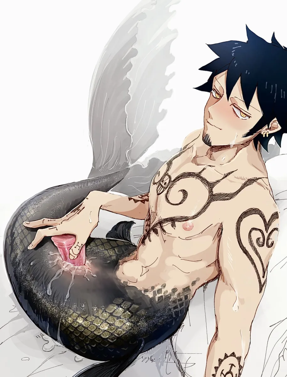 Trafalgar Law by K84612