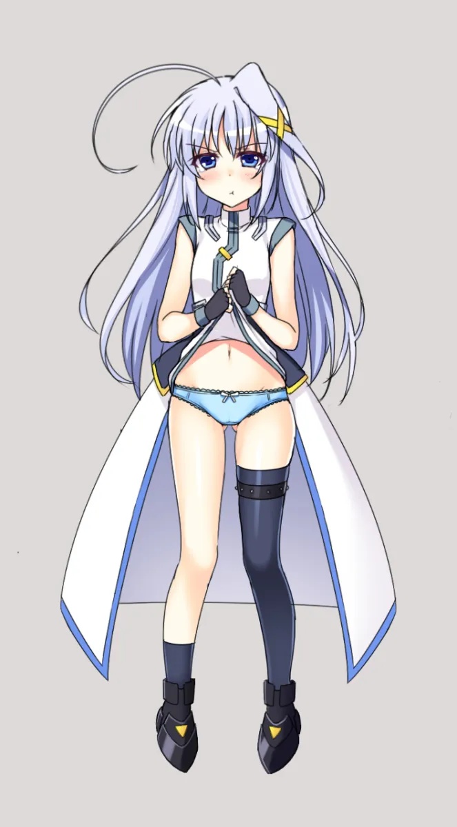 Reinforce Zwei by Raiou