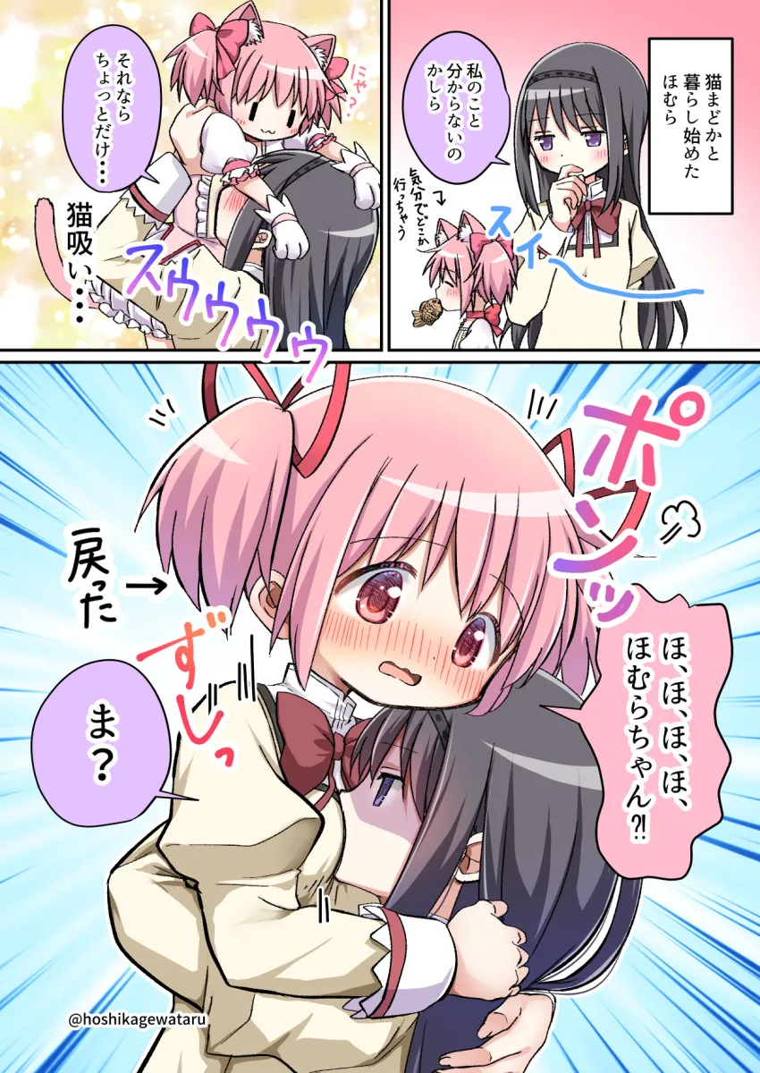 Akemi Homura, Kaname Madoka by Hoshikage Wataru