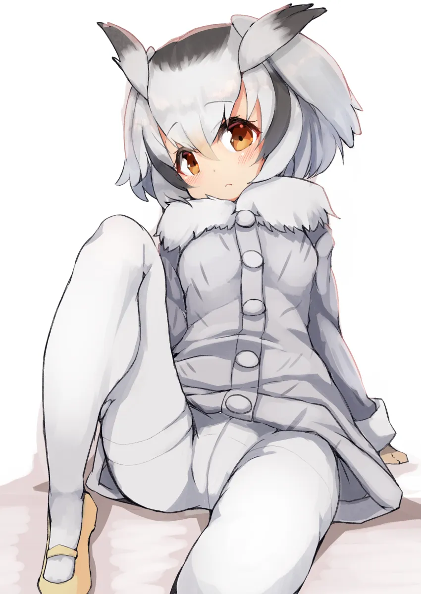 Northern White-Faced Owl (Kemono Friends) by Teranekosu