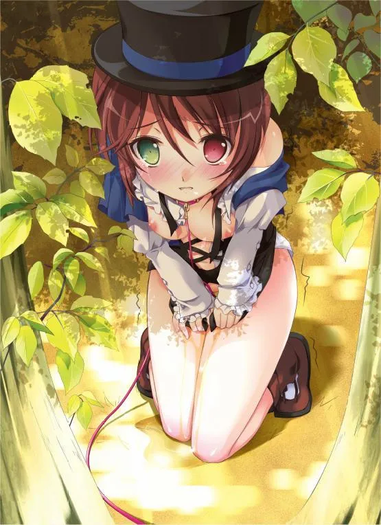 Souseiseki