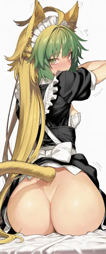 Atalanta (Fate) rule 34