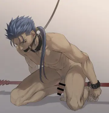 Cu Chulainn (Fate) rule 34