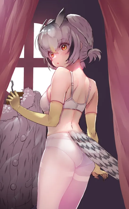Northern White-Faced Owl (Kemono Friends) by Tadano Magu