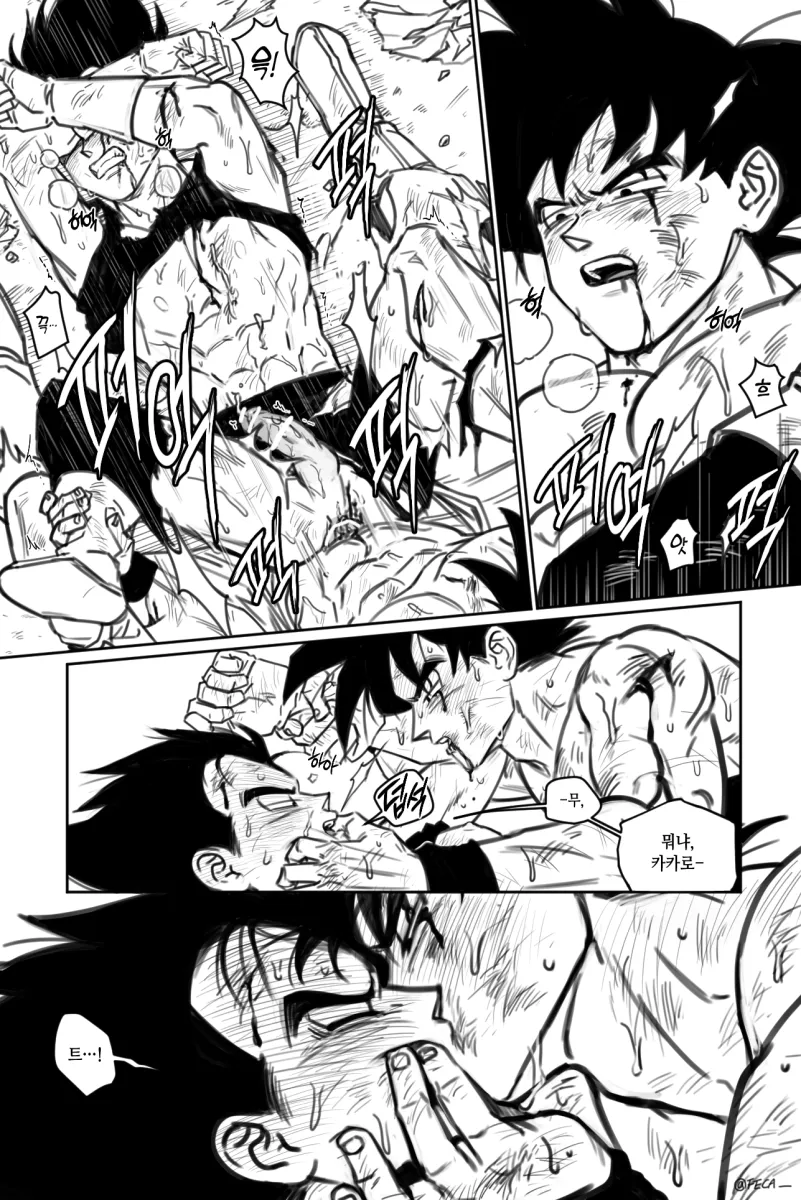 Son Goku, Vegeta by Fecaa