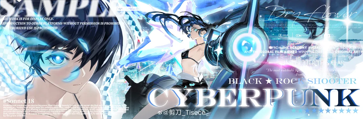 Black Rock Shooter (Character) by Weibo 3538660927