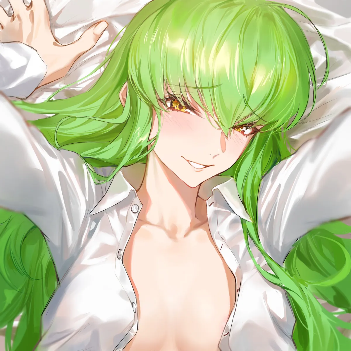 C.c. by Zonotaida