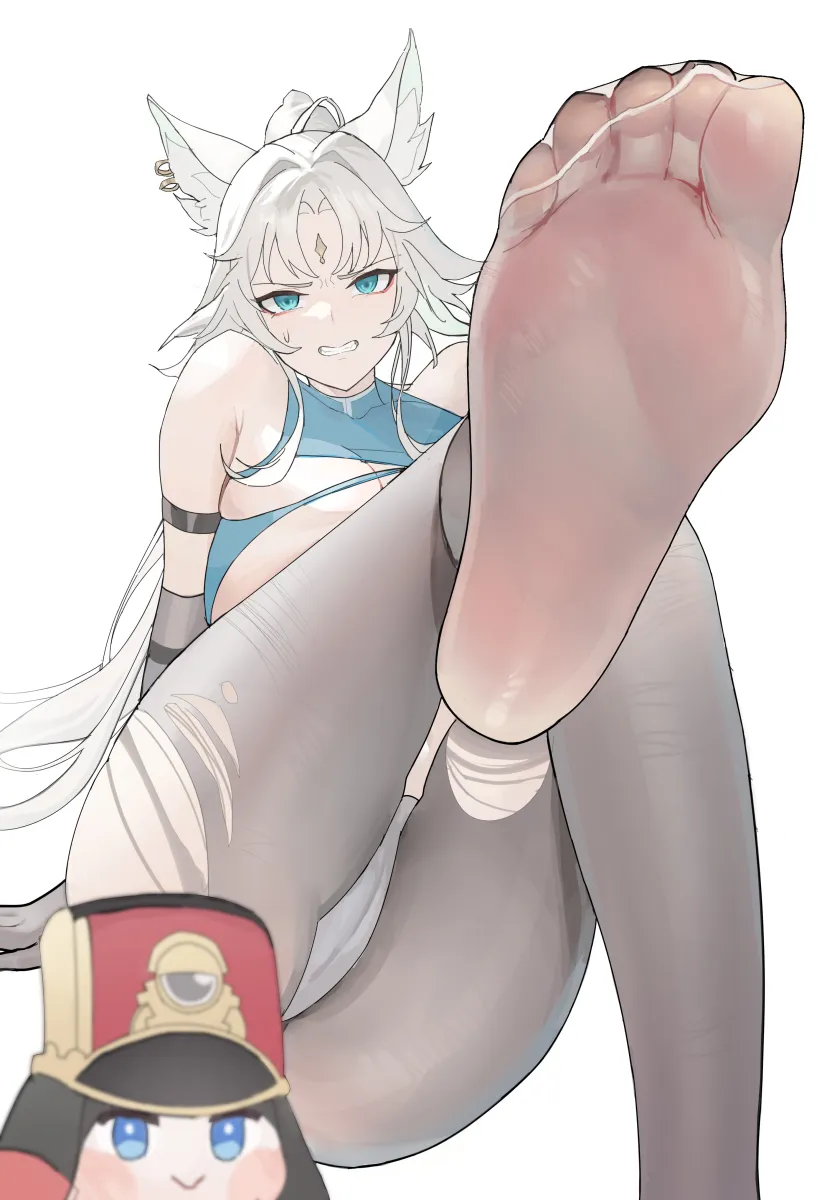 Feixiao (Honkai: Star Rail), Pom-Pom (Honkai: Star Rail) by Yisheng Yishise