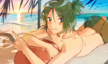 Swim Trunks