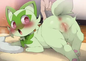 Dagasi